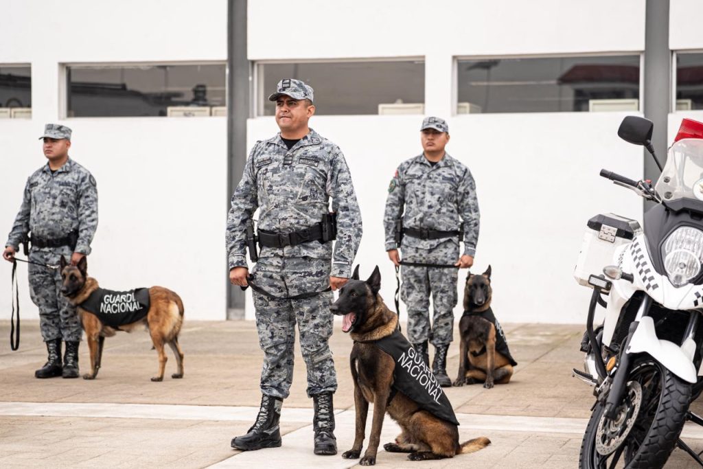 Nuevo coordinador estatal de la Guardia Nacional en Baja California: David Morales