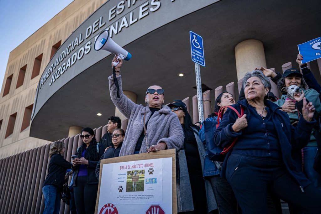 Activistas piden justicia por “El Chato” en audiencia en Tijuana
