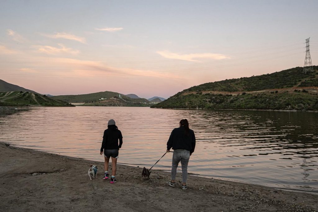 Mortandad de peces en la presa de Tijuana alarma por contaminación visible