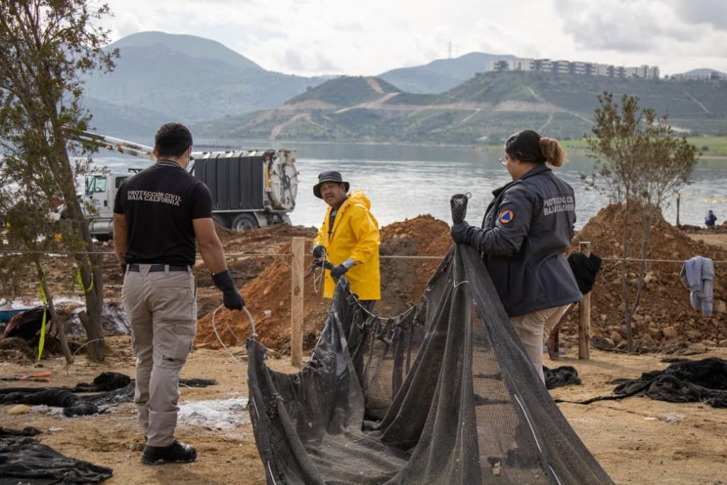 Vuelco térmico: mitigan mortandad de peces en presa Abelardo L. Rodríguez