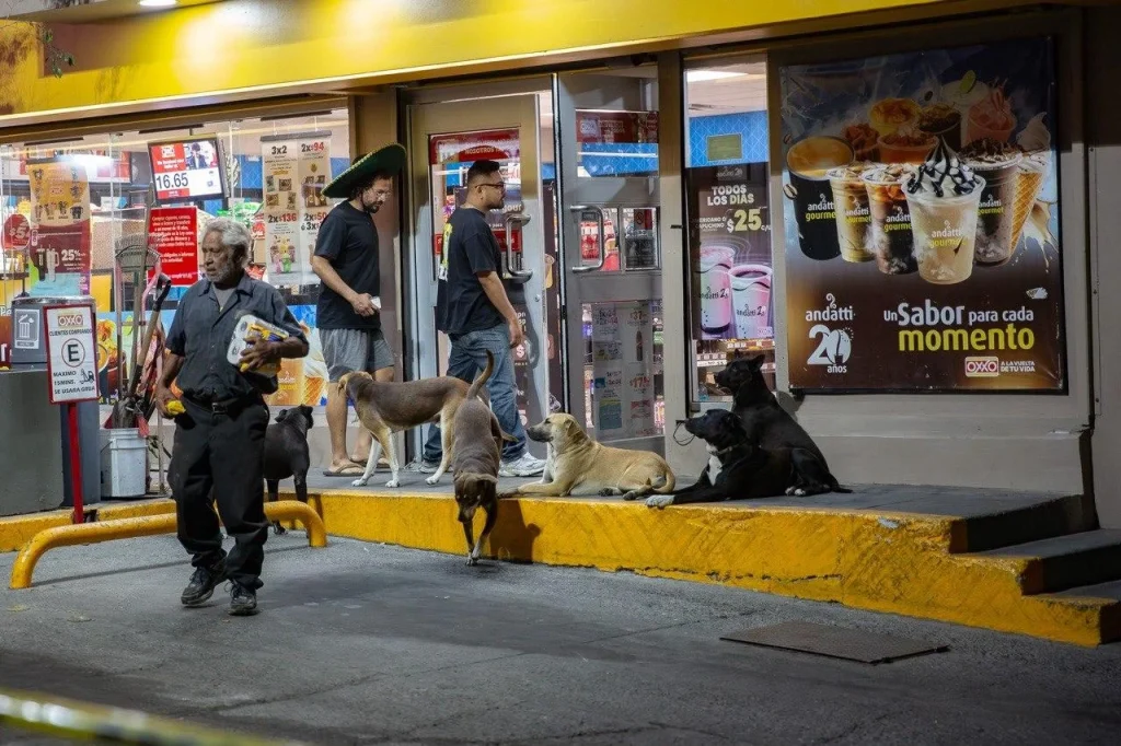 Investigan doble homicidio en la colonia Libertad de Tijuana